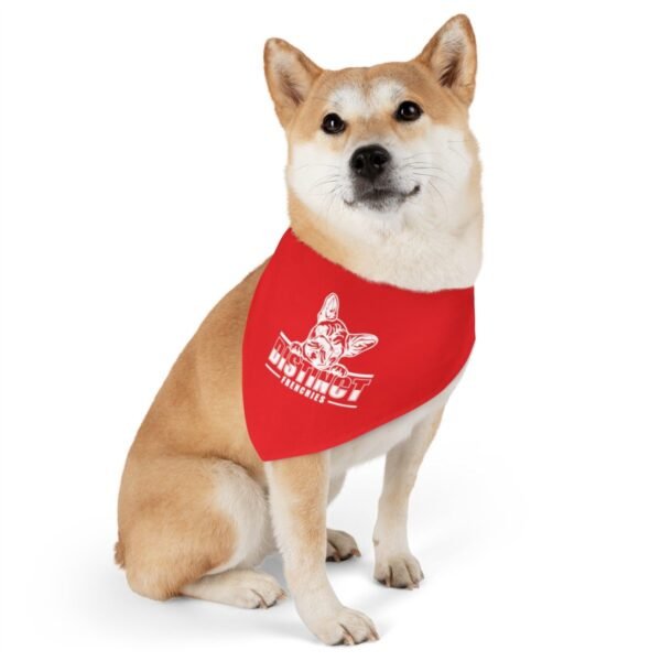 Pet Bandana Collar