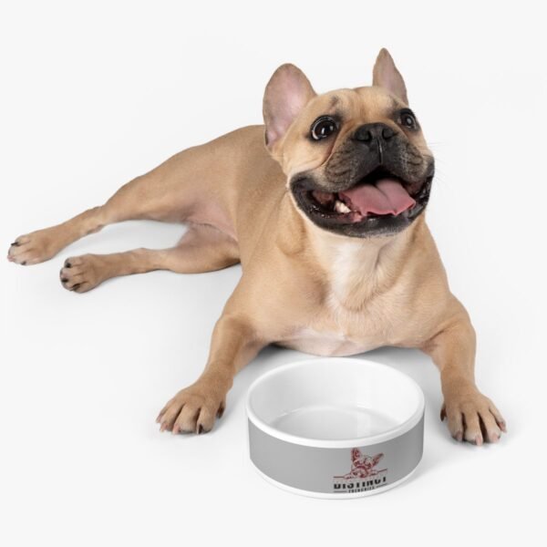 Pet Bowl - Image 5