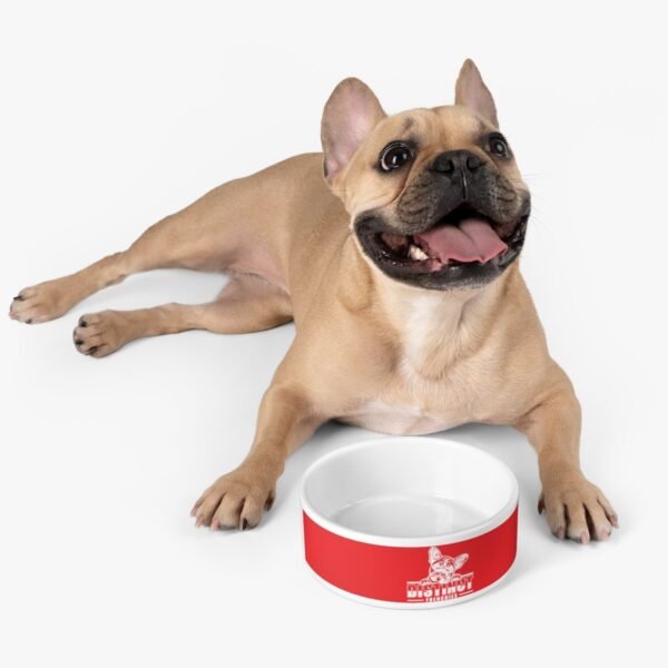Pet Bowl - Image 5