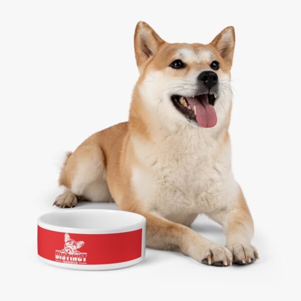 Pet Bowl - Image 6
