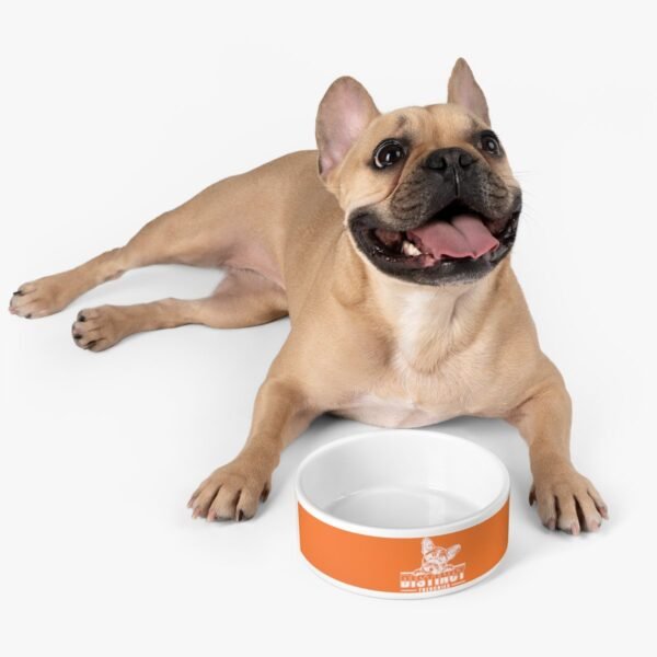 Pet Bowl - Image 5