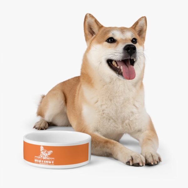Pet Bowl - Image 6