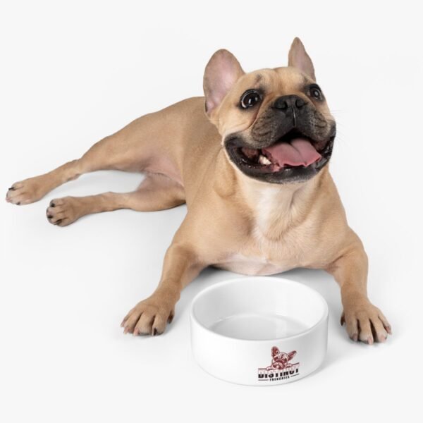 Pet Bowl - Image 6