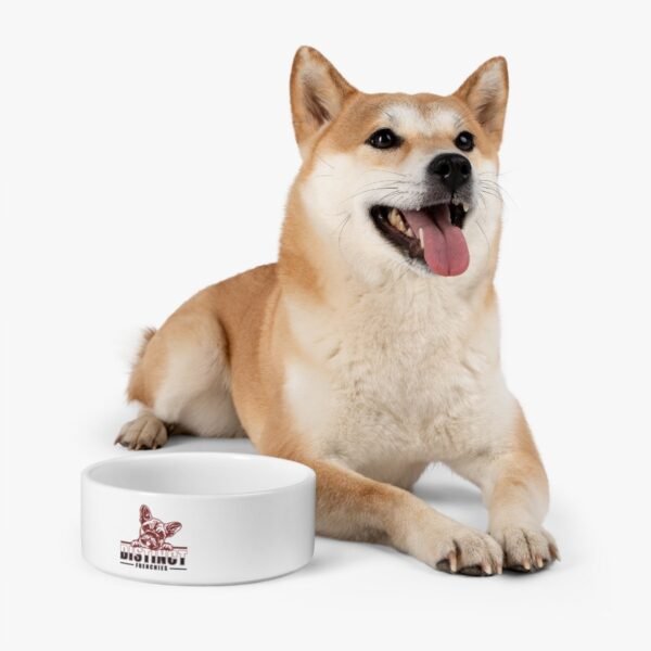 Pet Bowl - Image 7