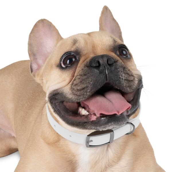 Dog Collar - Image 3