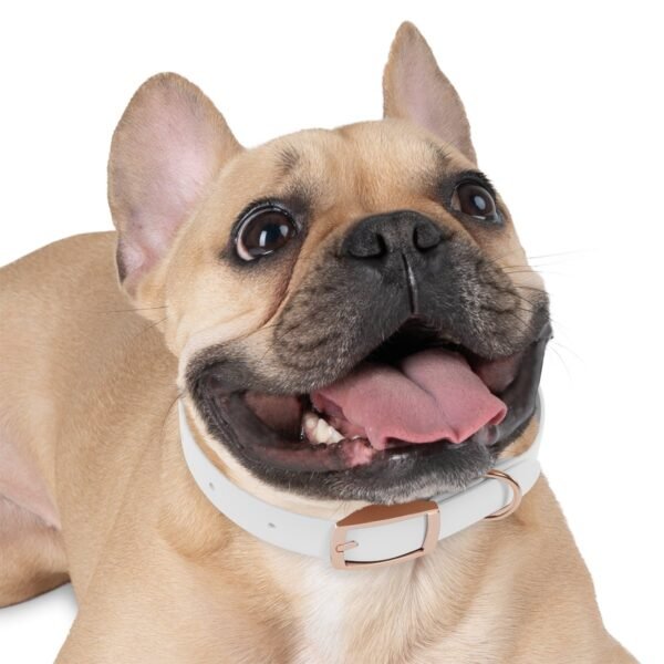 Dog Collar - Image 9