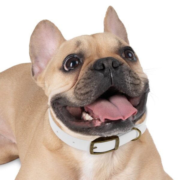 Dog Collar - Image 12