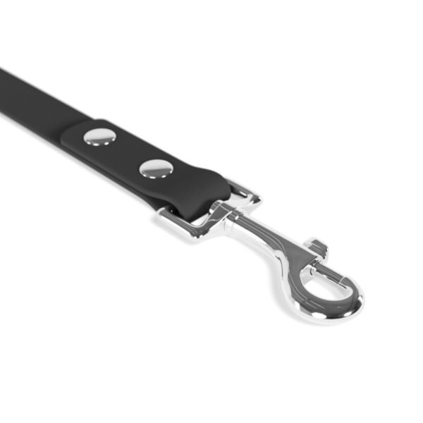 Leash - Image 5