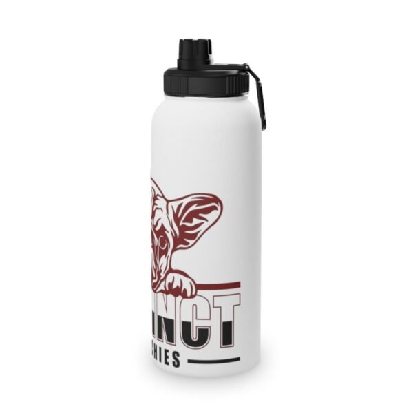 Stainless Steel Water Bottle, Sports Lid - Image 4
