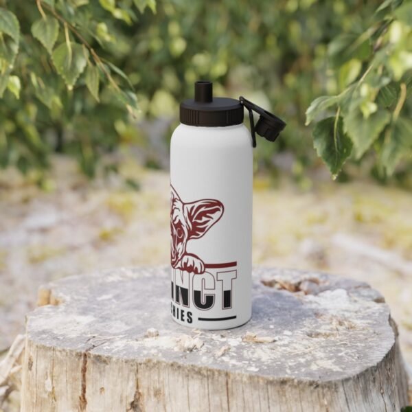 Stainless Steel Water Bottle, Sports Lid - Image 6