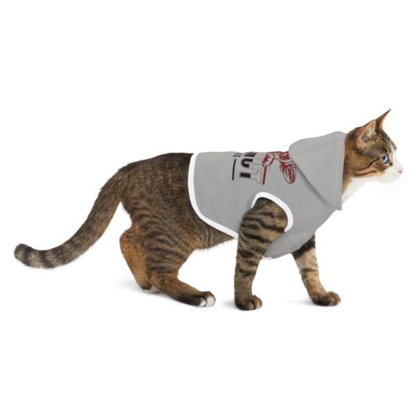 Pet Hoodie - Image 6