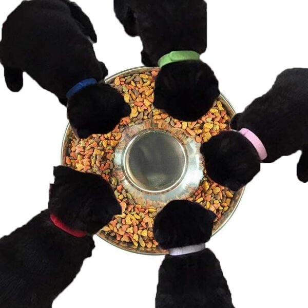 Puppy Dog Bowl - Image 2